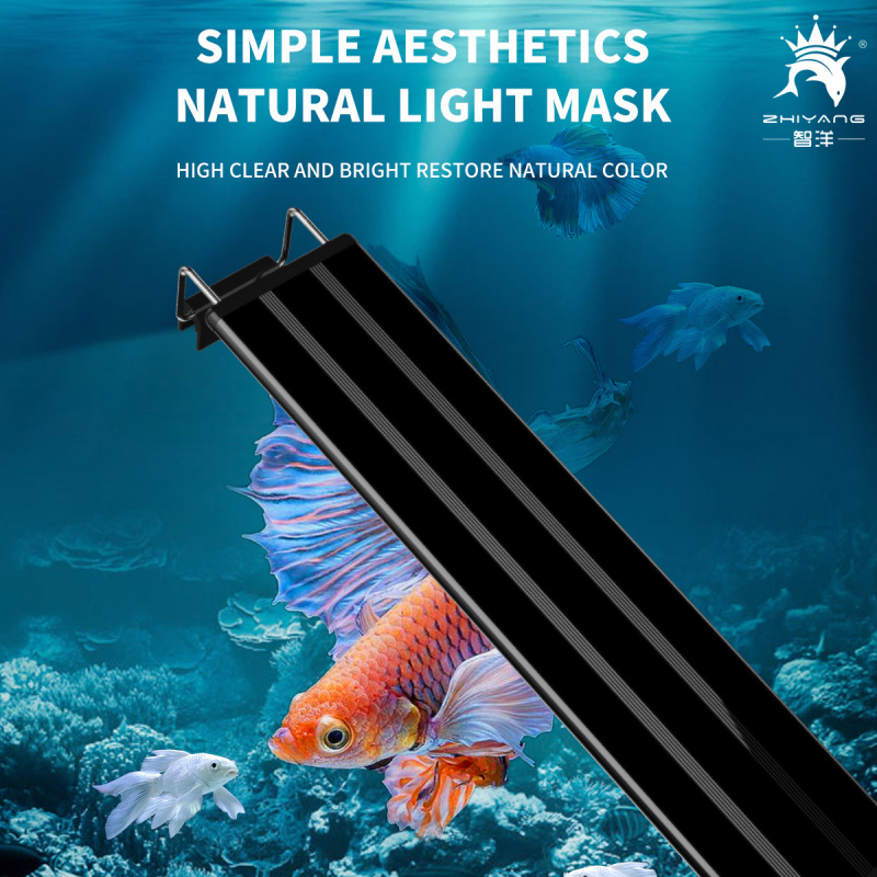 4-Row Color Changing Aquarium  – Candle Making Supplies Uk recenzja i cena