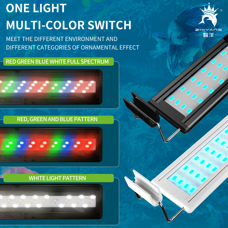 4-Row Color Changing Aquarium  – Candle Making Supplies Uk recenzja i cena